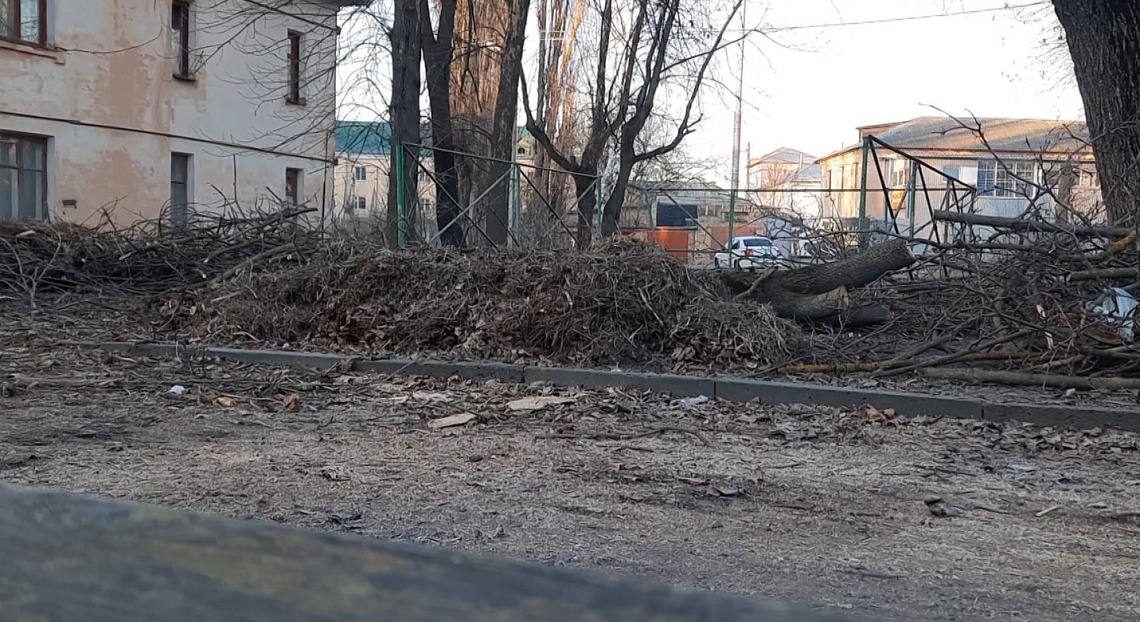 Глава Пензы Олег Денисов оценил, как проходит месячник по благоустройству